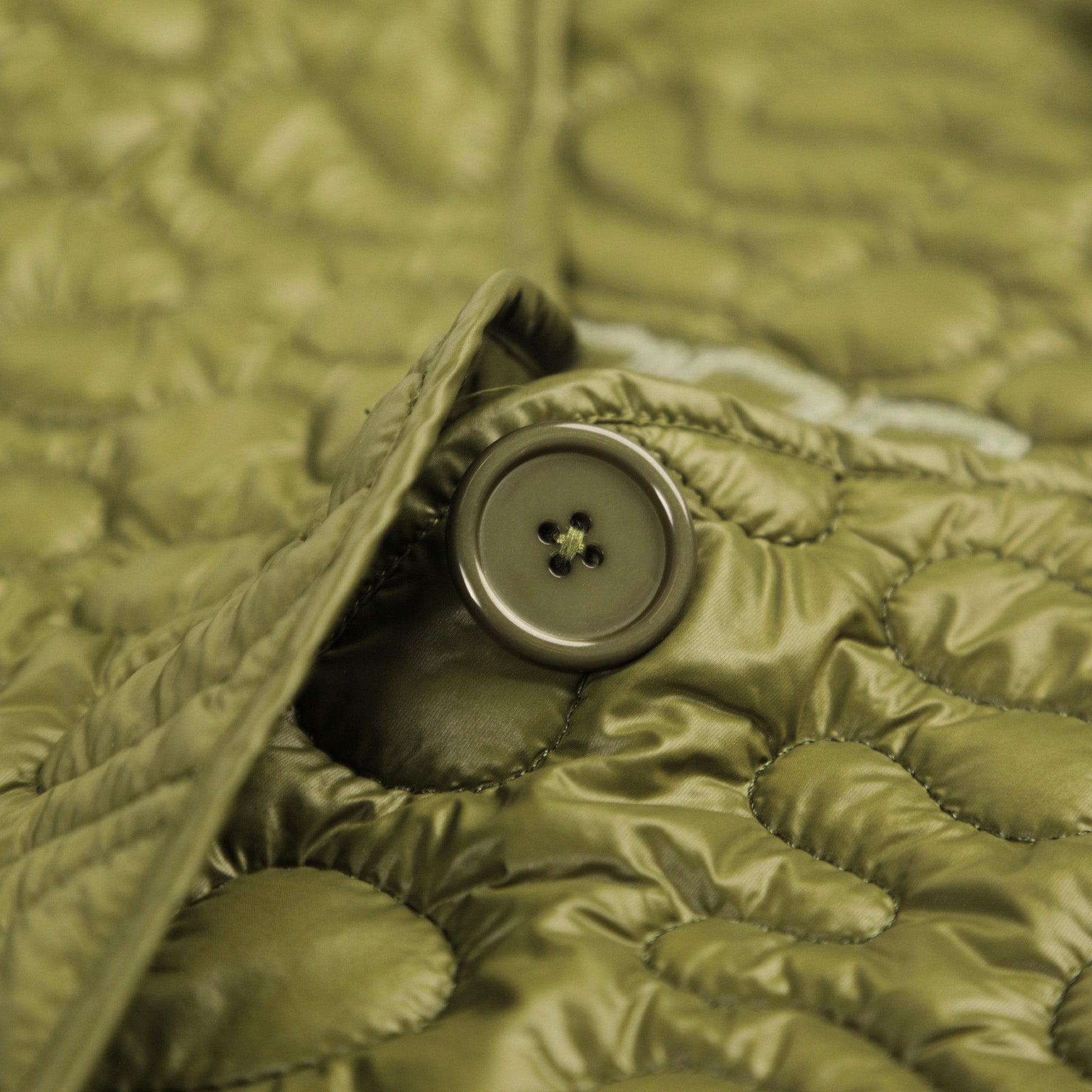 Amoeba Liner | Olive