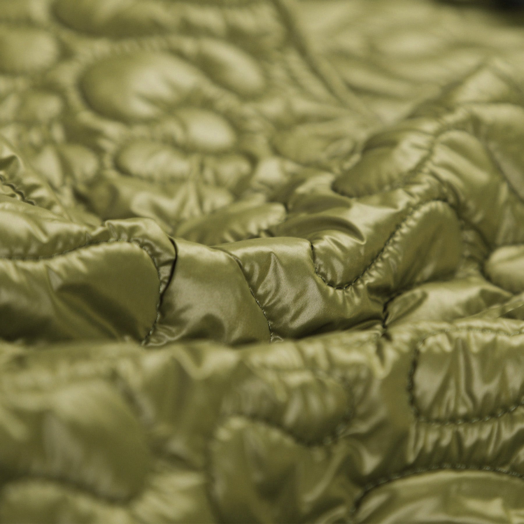 Amoeba Liner | Olive