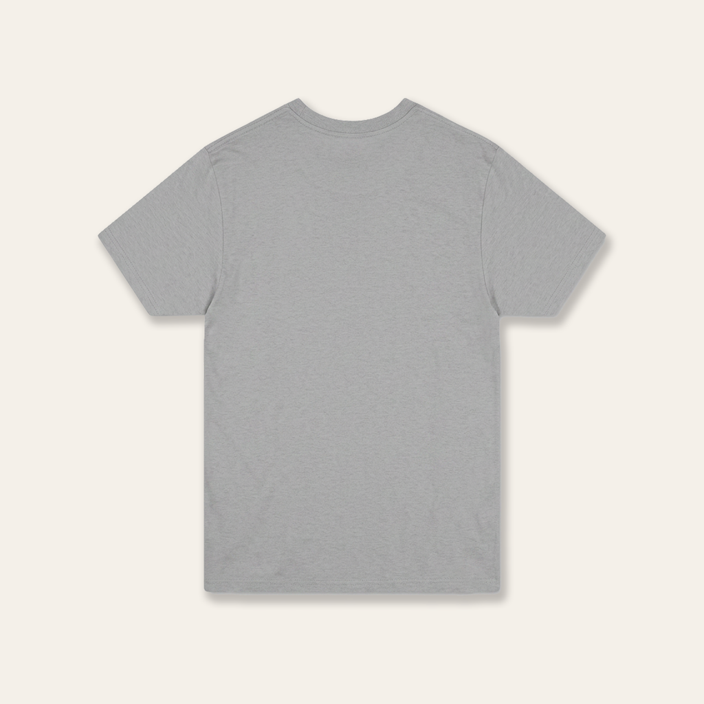 Barren Lands Tee | Grey (c. 2021)
