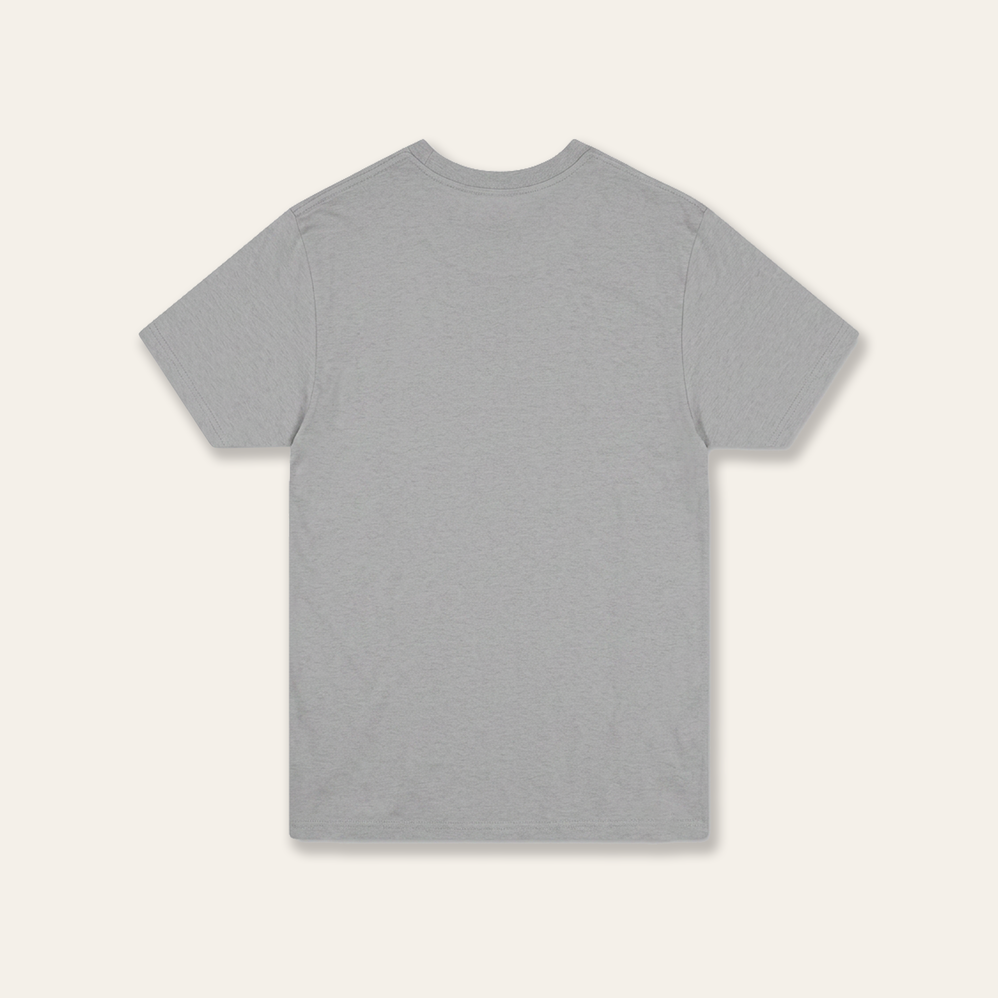 Barren Lands Tee | Grey (c. 2021)