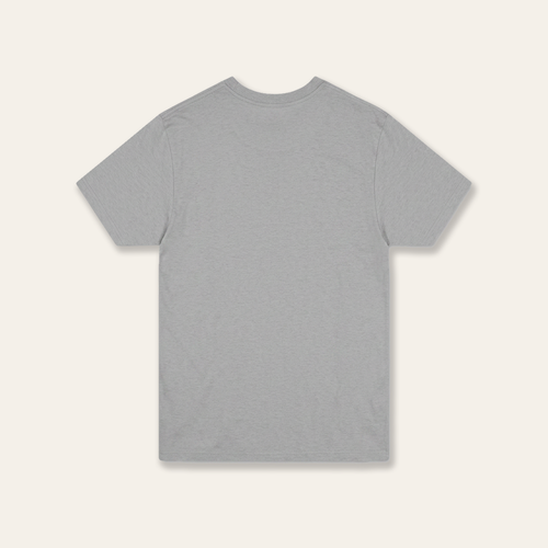 Barren Lands Tee | Grey (c. 2021)
